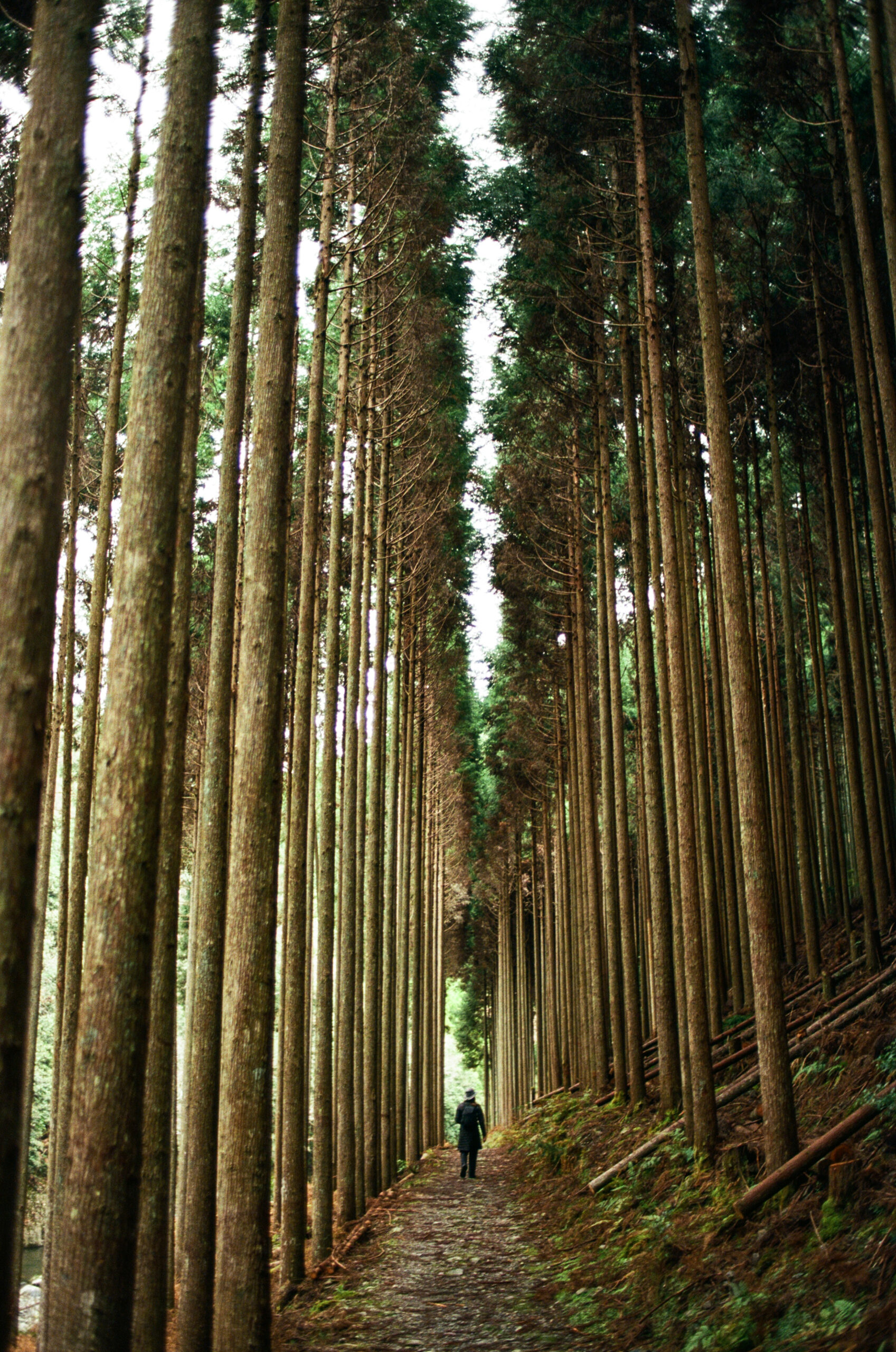 Japan-Film-c-189