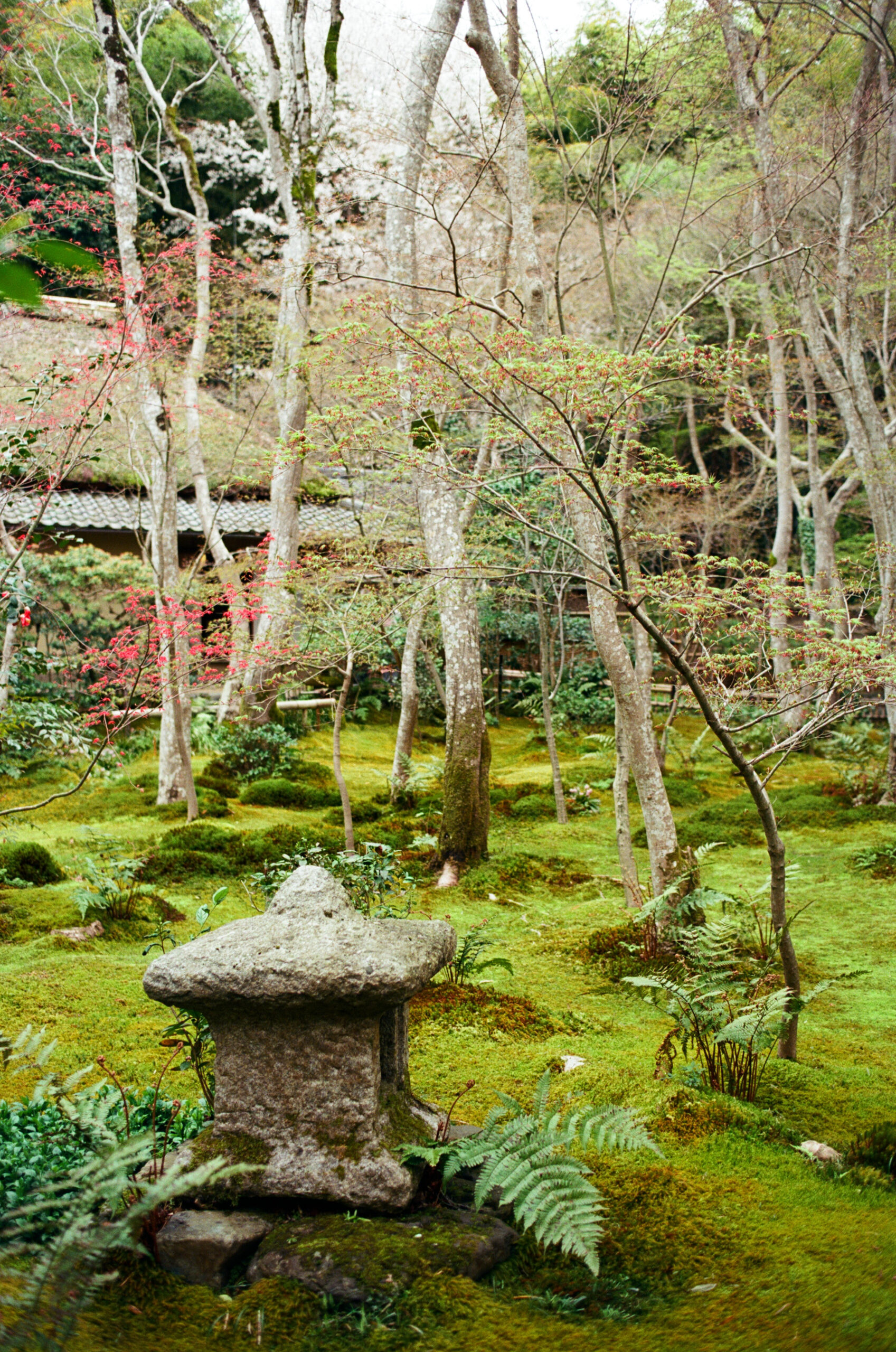 Japan-Film-c-206